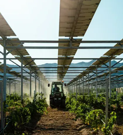Installation agrivoltaïque sur vigne