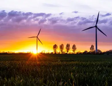 Wind farm
