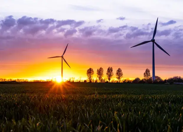 Wind farm