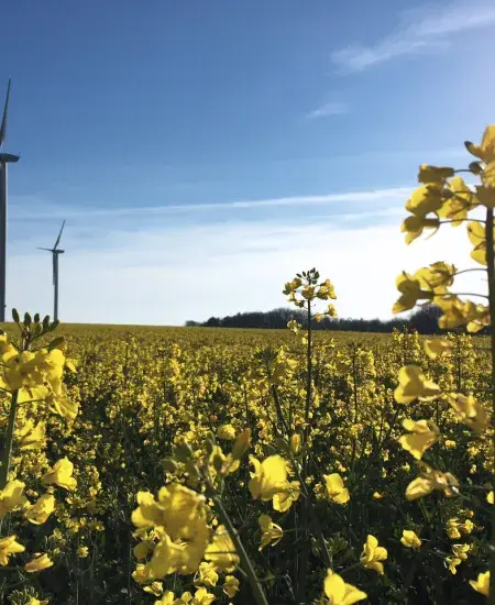 Parc éolien Les éparmonts France