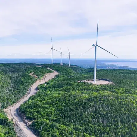 Parc éolien Apuiat vu du ciel